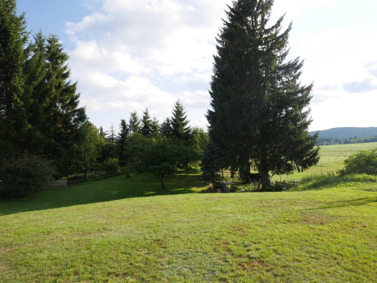 Villa Sofia House Abertamy Esterno foto