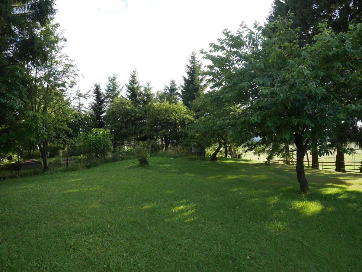 Villa Sofia House Abertamy Esterno foto