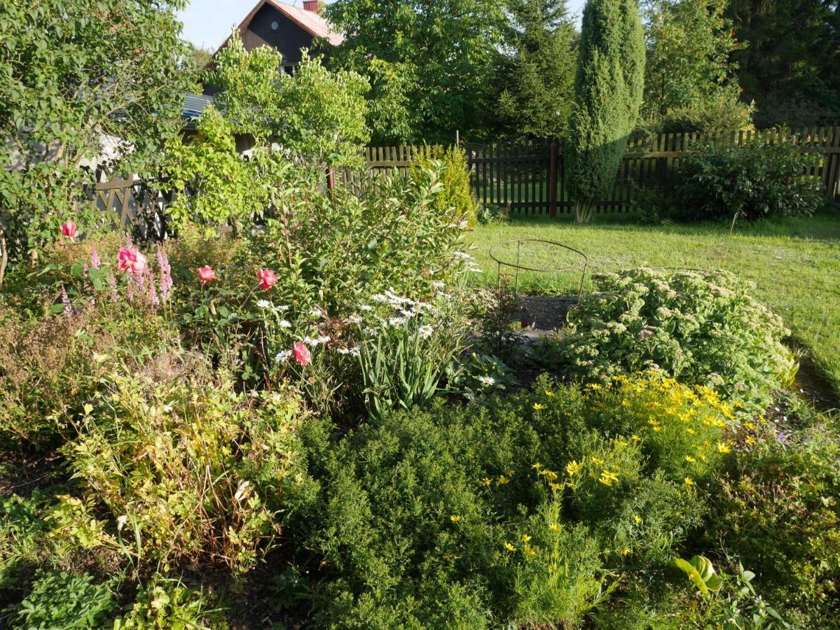 Villa Sofia House Abertamy Esterno foto