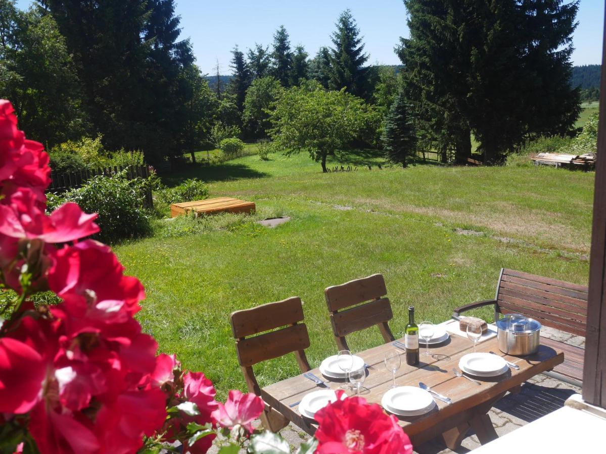 Villa Sofia House Abertamy Esterno foto